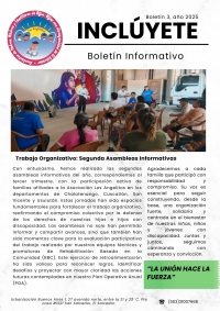 Boletín informativo Inclúyete #3-2025